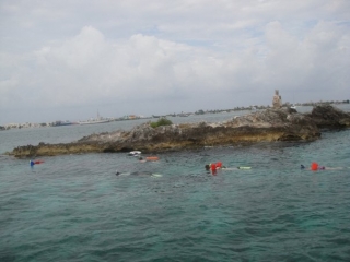  Mergulhe com snorkel em recifes 